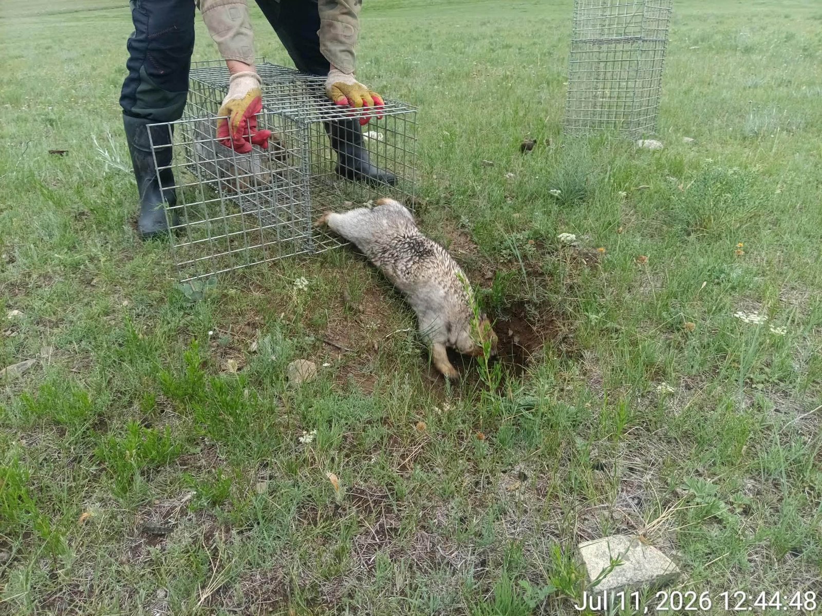 зураг