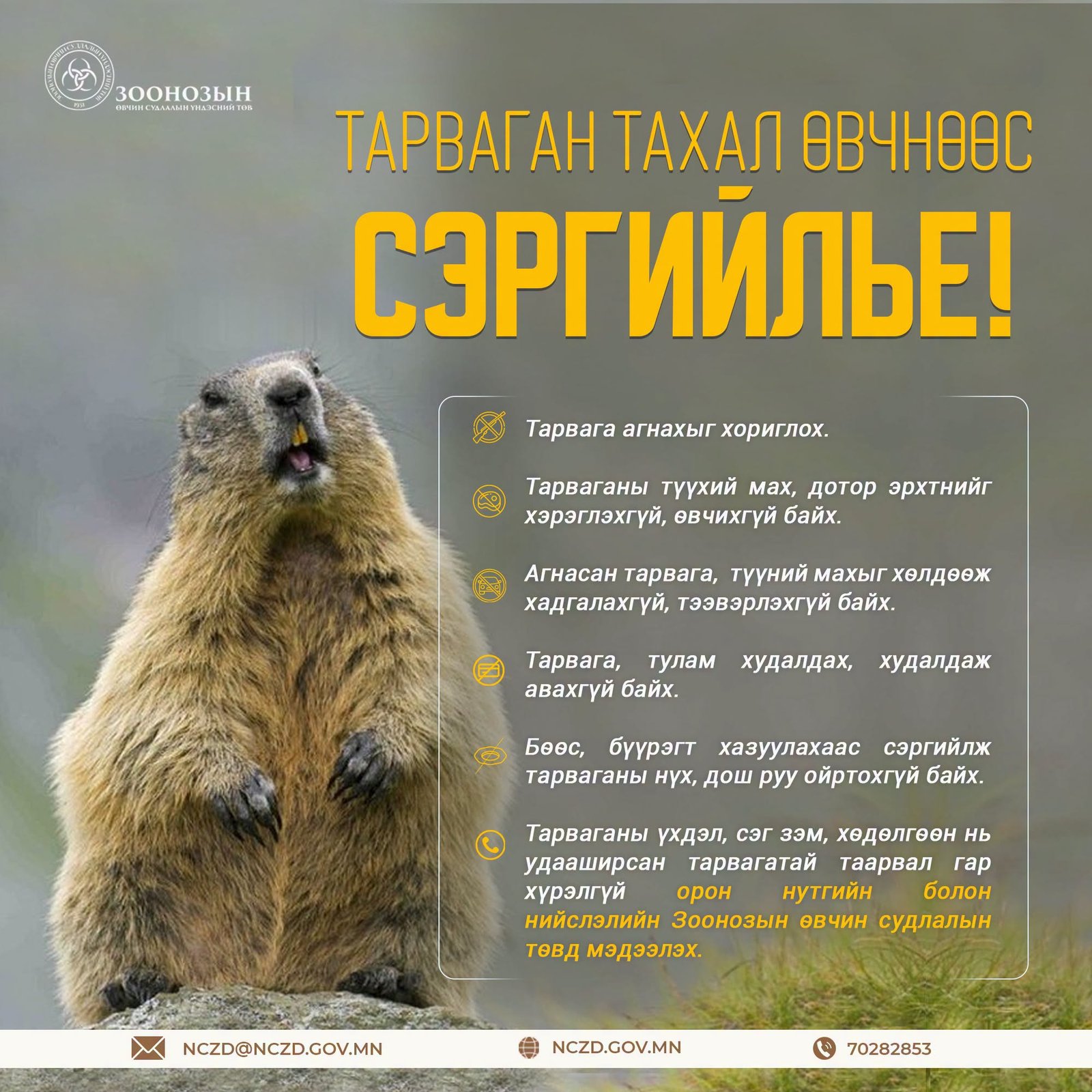 зураг