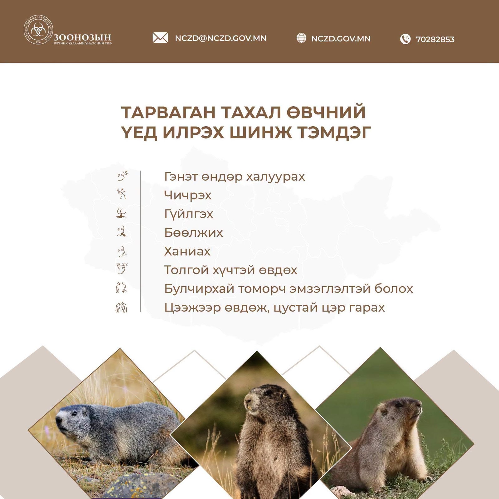 зураг