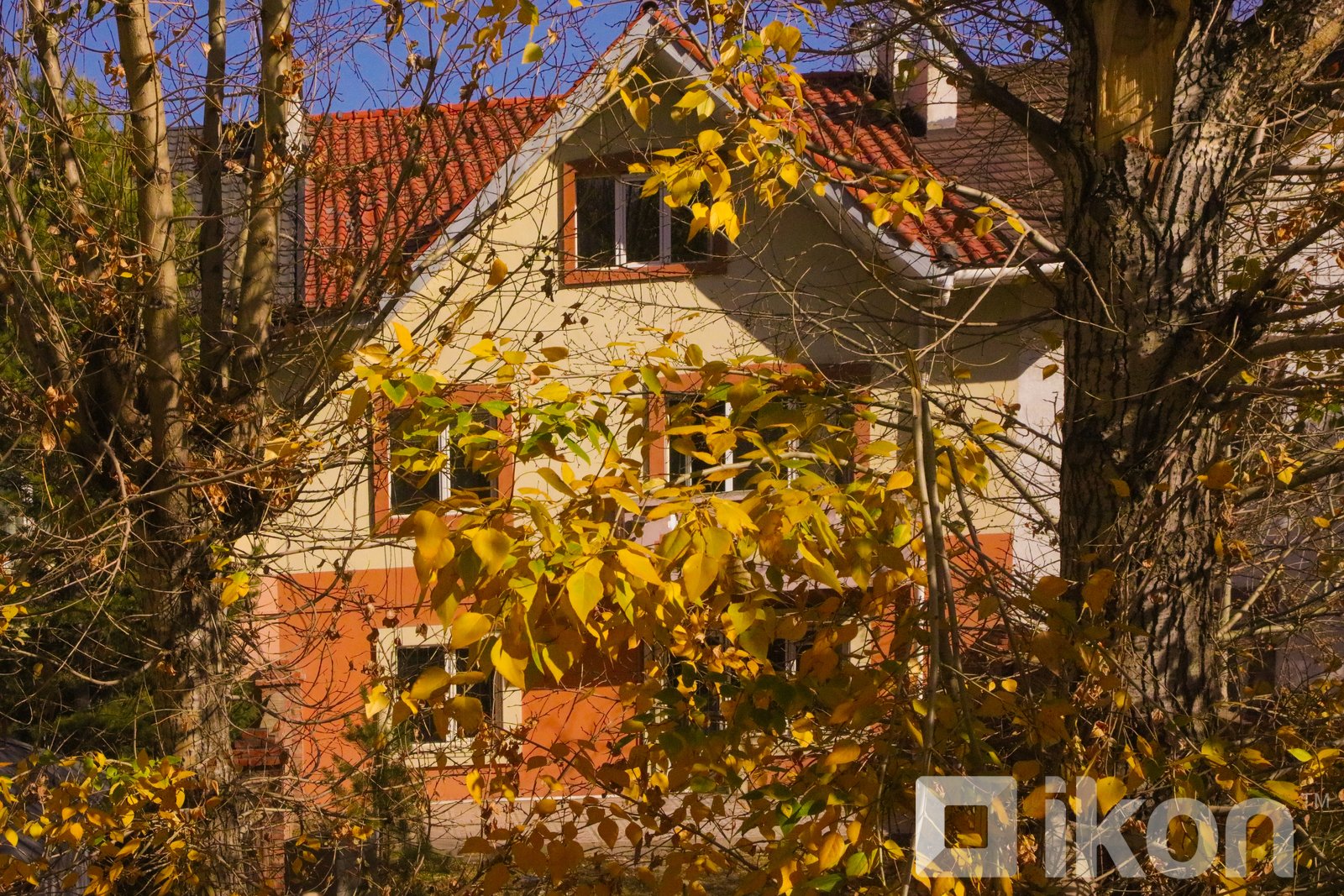 зураг