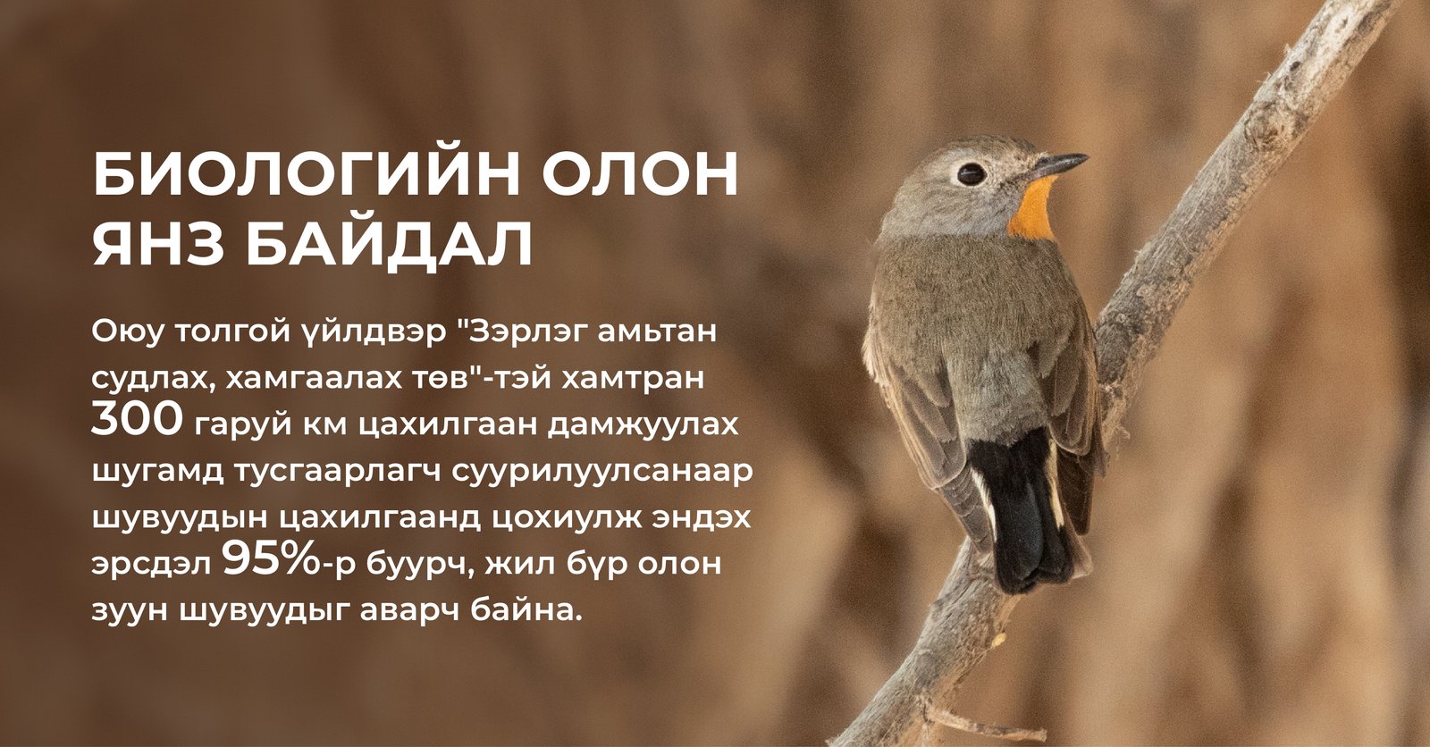 зураг