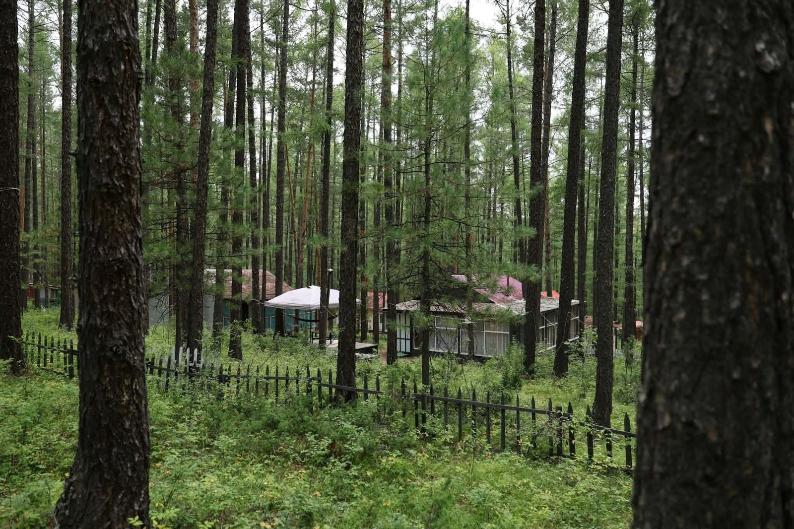зураг