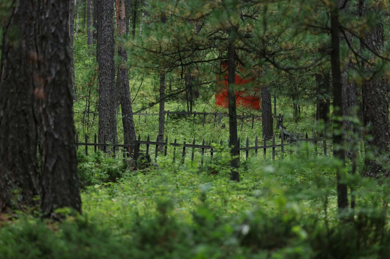 зураг