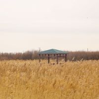 Зураг