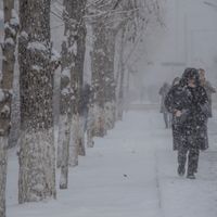Зураг