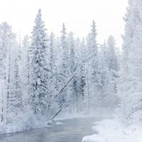 Зураг