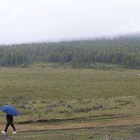 Зураг
