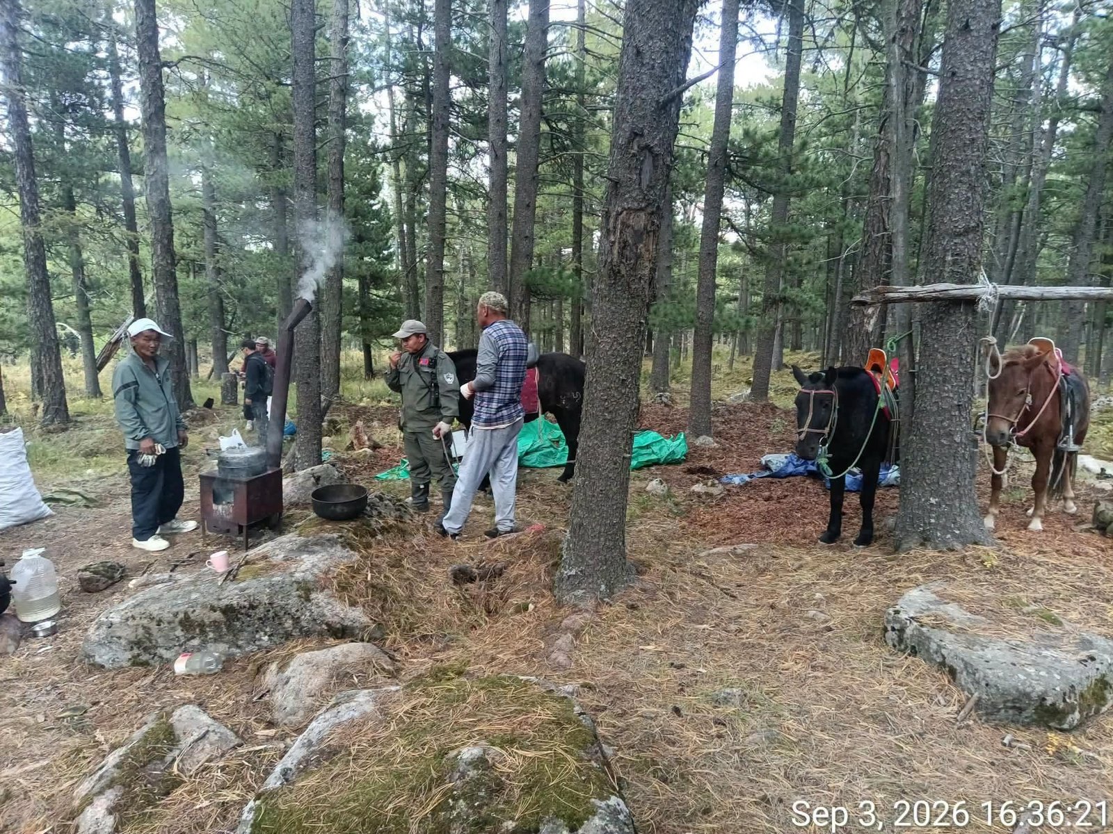 зураг