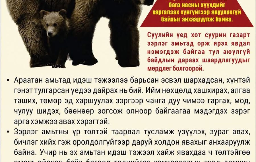 Зураг